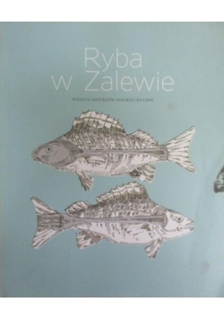Ryba w Zalewie