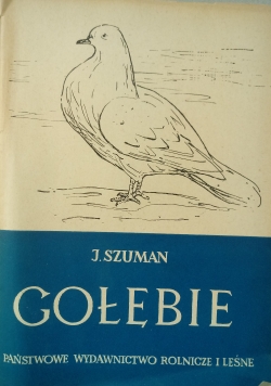 Gołębie