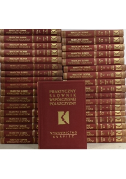 Praktyczny słownik współczesnej polszczyzny zestaw 35 książek