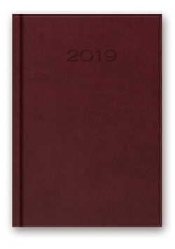 Kalendarz 2019 B6 książkowy bordowy