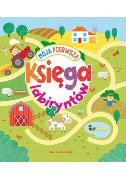 Moja pierwsza księga labiryntów