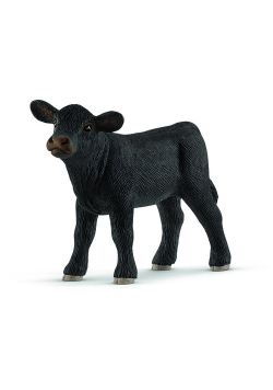 Aberdeen Angus Cielę