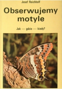 Obserwujemy motyle. Jak – gdzie – kiedy?