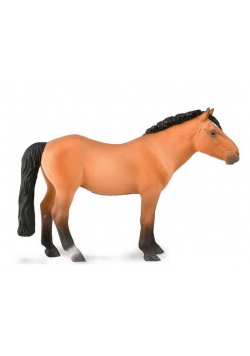 Monglolian Stallion - Light Bay