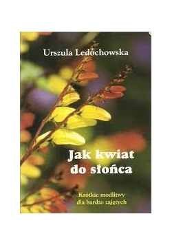 Jak kwiat do słońca