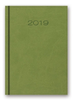 Kalendarz 2019 B6 książkowy jasnozielony