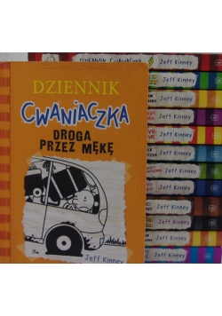 Dziennik cwaniaczka, zestaw 13 książek