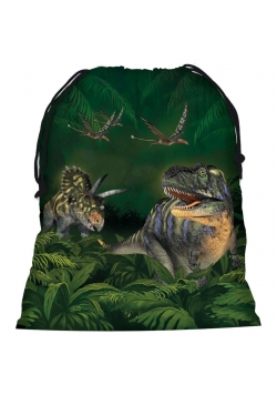 Worek na obuwie Dinozaur 11 DERFORM