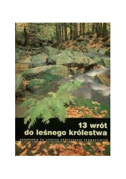 13 wrót do leśnego królestwa