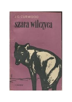 Szara wilczyca