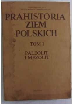 Prahistoria Ziem Polskich Tom 1 Paleolit i Mezolit