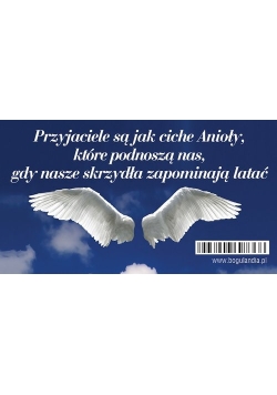 Magnes 12 na lodówkę Przyjaciele są jak ciche Anioły