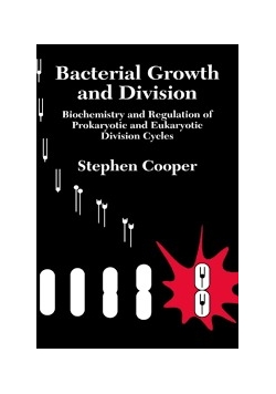 Bacterial growth and division