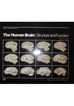 The Human Brain: Structure and Function