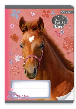 Zeszyt A5 w trzy linie kolorowe 16 kartek Nice and Pretty 10 sztuk