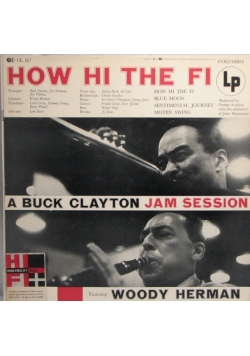 How Hi The Fi, vinyl