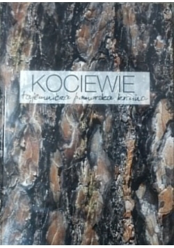 Kociewie tajemnicza pomorska kraina
