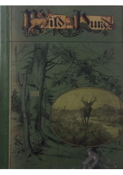 Wild und Hund, 1919 r.