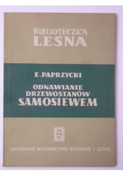 Odnawianie drzewostanów samosiewem