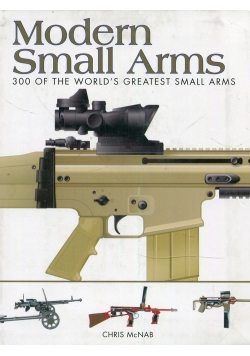 Modern Small Arms