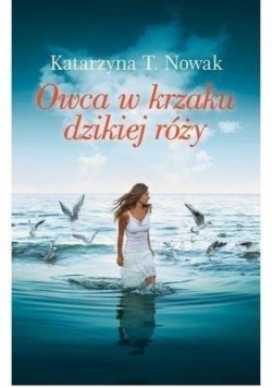 Owca w krzaku dzikiej róży