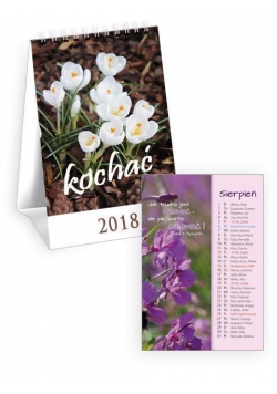 Kalendarz 2018 na biurko - Kochać