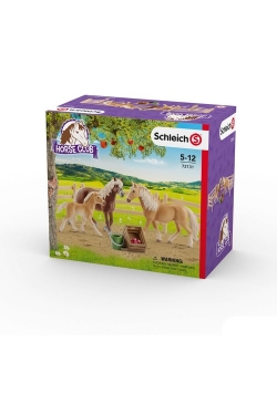 Horse Club Rodzina rasy haflinger w zagrodzie