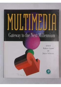Multimedia. Gateway to the Next Millennium