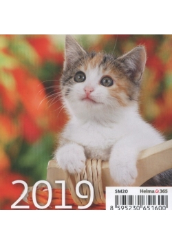 Kalendarz 2019 biurkowy mini kotki