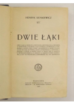 Dwie łąki, 1908 r.