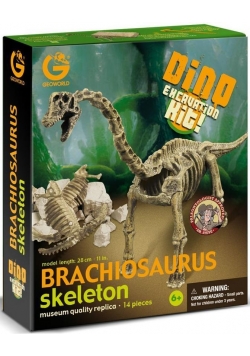 Wyprawa Paleontologiczna - Brachiosaurus