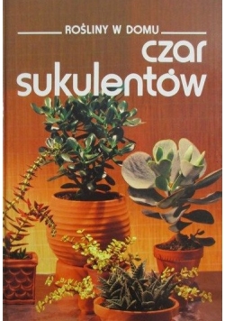 Rośliny w domu: Czar sukulentów