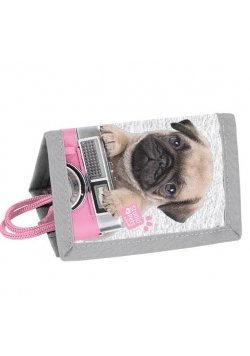 Portfel Studio Pets PEY-002 PASO