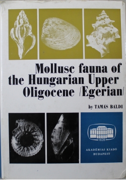 Mollusc fauna of the Hungarian Upper Oligocene