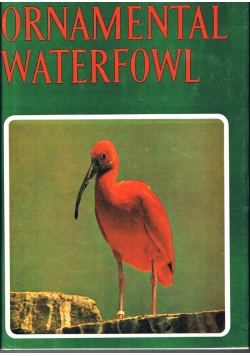 Ornamental Waterfowl
