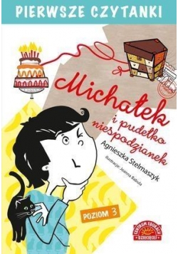 Pierwsze Czytanki. Michałek i pudełko niespodz.