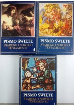 Pismo Święte Starego i Nowego Testamenty, zestaw 3 tomów