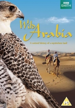 Wild Arabia Płyta DVD
