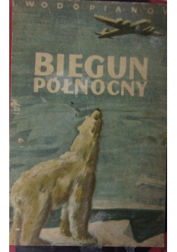 Biegun północny