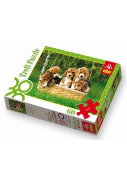 Puzzle 60 Małe Beagle TREFL