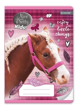 Zeszyt A5 w trzy linie 16 kartek Nice And Pretty 10 sztuk mix