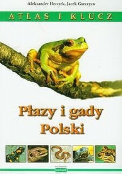 Atlas i klucz. Płazy i gady Polski