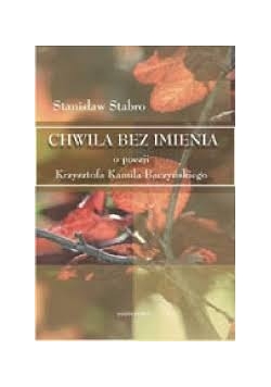 Chwila bez imienia  O poezji