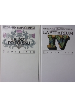 Lapidarium IV/ Busz po polsku