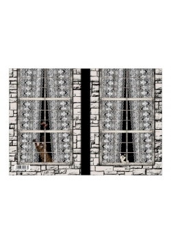 Notes Gee Lace Curtains 13,5x19,5 NARCISSUS
