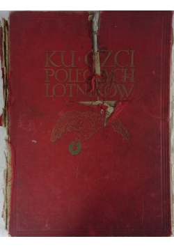 Ku Czci Poległych Lotników Z 1933R