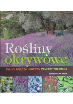 Rośliny okrywowe