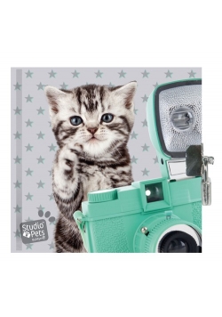 Pamiętnik z kłódką Studio Pets Kot