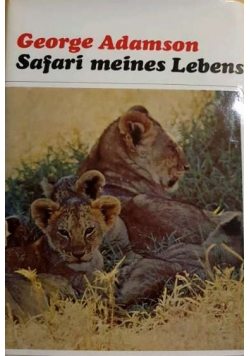 Safari meines Lebens