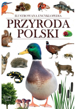 Przyroda Polski